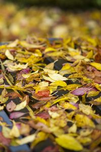 Preview wallpaper autumn, fallen leaves, bench, park, yellow