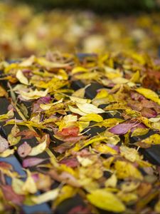 Preview wallpaper autumn, fallen leaves, bench, park, yellow