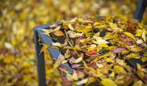 Preview wallpaper autumn, fallen leaves, bench, park, yellow