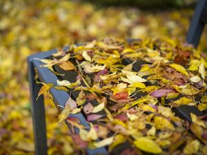 Preview wallpaper autumn, fallen leaves, bench, park, yellow