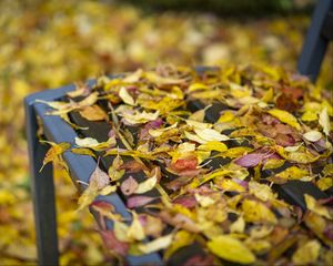 Preview wallpaper autumn, fallen leaves, bench, park, yellow