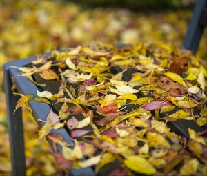 Preview wallpaper autumn, fallen leaves, bench, park, yellow