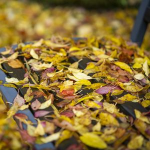 Preview wallpaper autumn, fallen leaves, bench, park, yellow