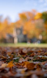 Preview wallpaper autumn, fallen leaves, blur, park