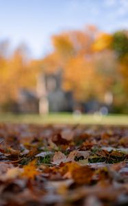 Preview wallpaper autumn, fallen leaves, blur, park