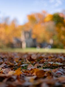 Preview wallpaper autumn, fallen leaves, blur, park