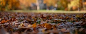 Preview wallpaper autumn, fallen leaves, blur, park