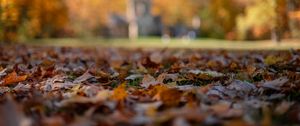 Preview wallpaper autumn, fallen leaves, blur, park