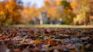 Preview wallpaper autumn, fallen leaves, blur, park