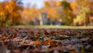 Preview wallpaper autumn, fallen leaves, blur, park