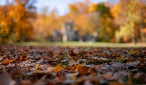 Preview wallpaper autumn, fallen leaves, blur, park