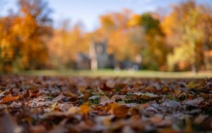 Preview wallpaper autumn, fallen leaves, blur, park