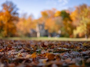 Preview wallpaper autumn, fallen leaves, blur, park