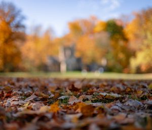 Preview wallpaper autumn, fallen leaves, blur, park