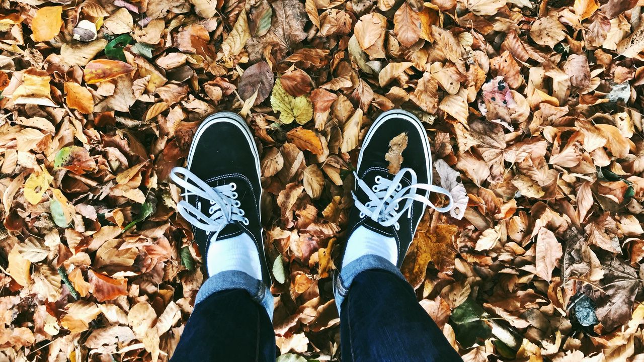 Wallpaper autumn, feet, foliage, fallen