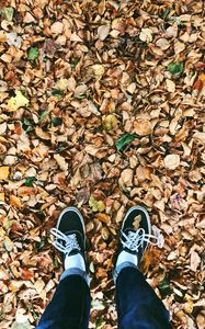 Preview wallpaper autumn, feet, foliage, fallen