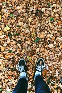 Preview wallpaper autumn, feet, foliage, fallen