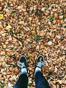 Preview wallpaper autumn, feet, foliage, fallen