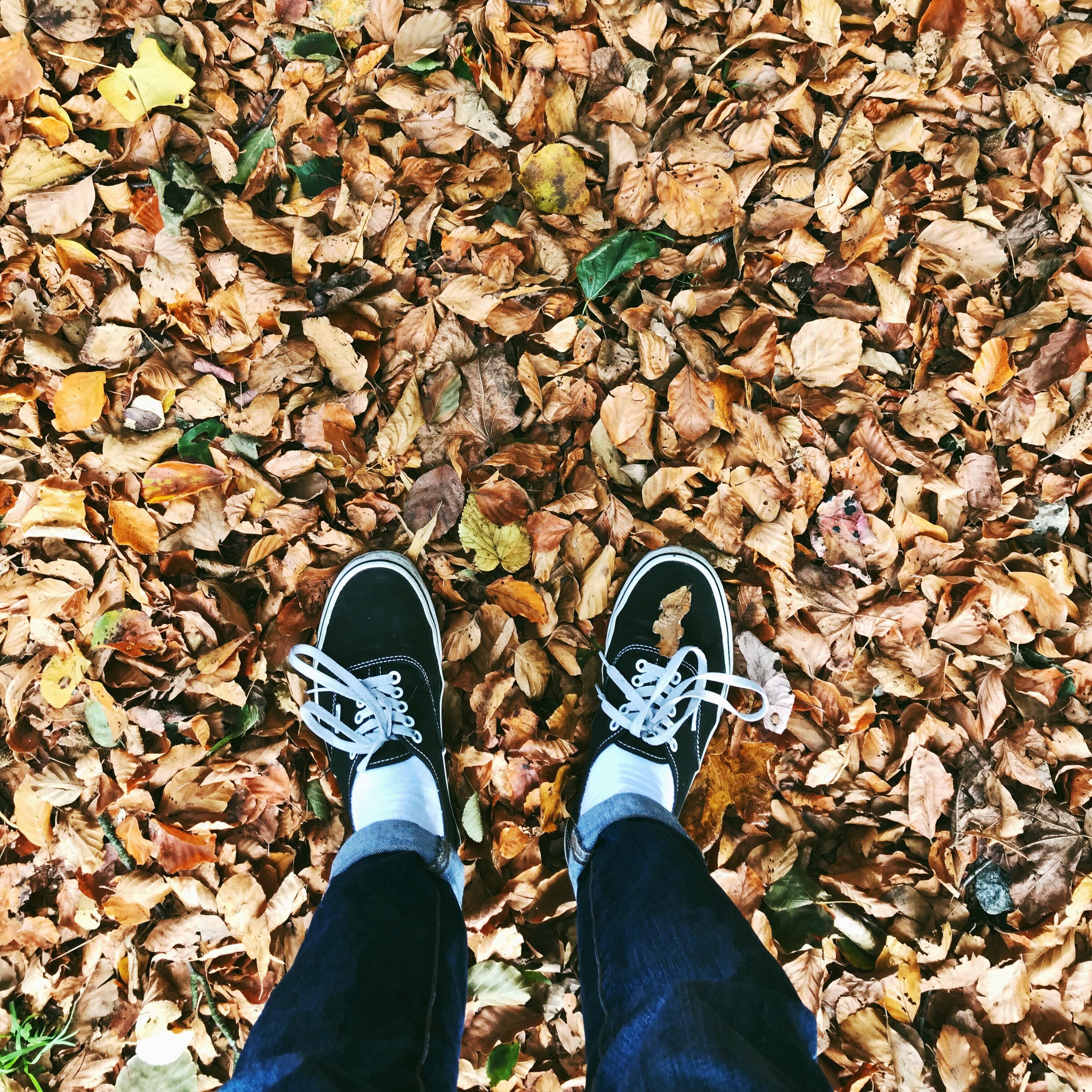 Download wallpaper 2780x2780 autumn, feet, foliage, fallen ipad air ...