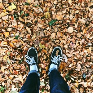 Preview wallpaper autumn, feet, foliage, fallen