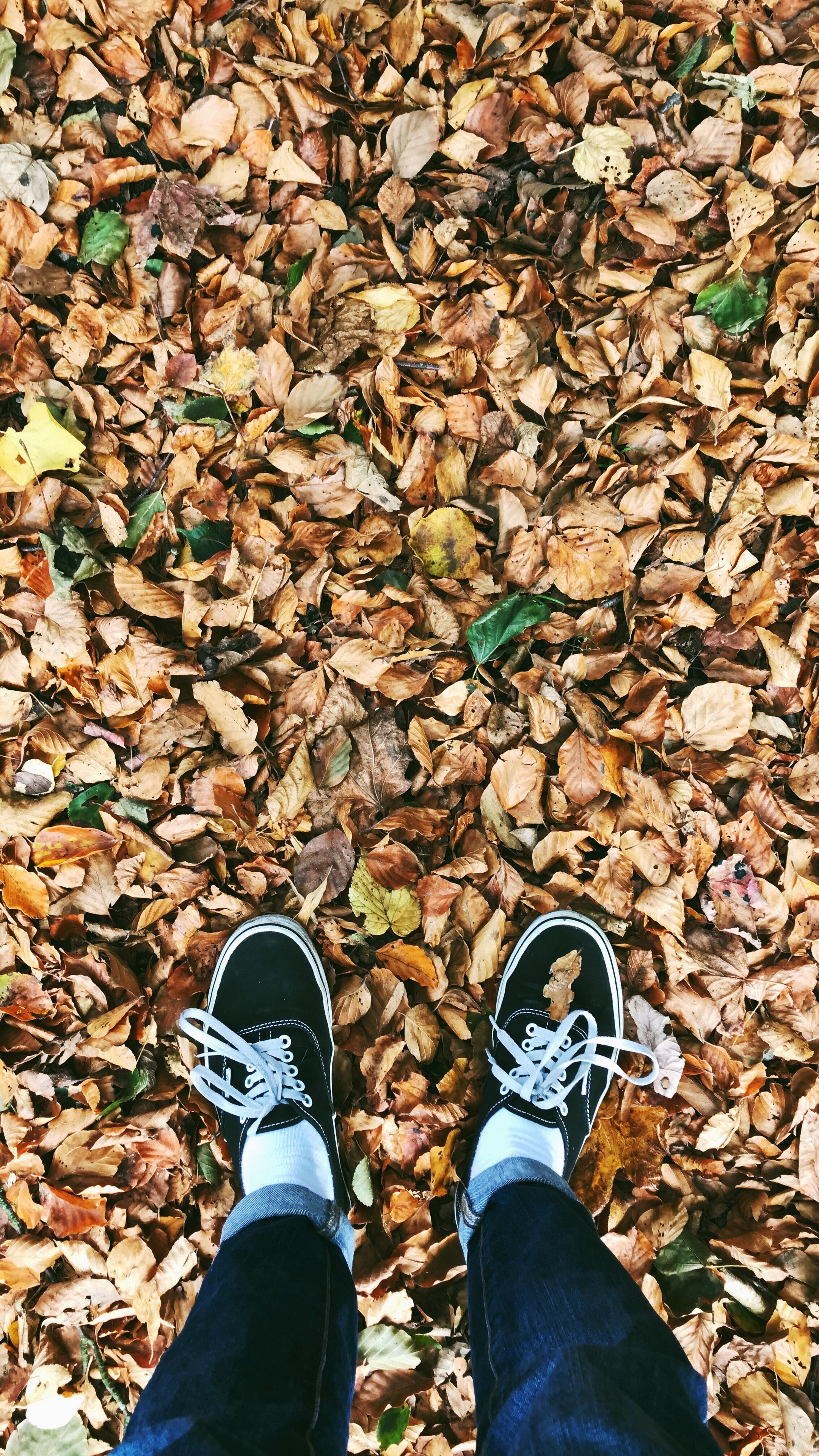 Download wallpaper 2160x3840 autumn, feet, foliage, fallen samsung ...