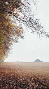 Preview wallpaper autumn, fog, field, fallen leaves, houses