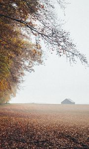 Preview wallpaper autumn, fog, field, fallen leaves, houses