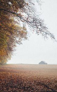 Preview wallpaper autumn, fog, field, fallen leaves, houses