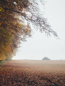 Preview wallpaper autumn, fog, field, fallen leaves, houses