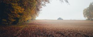 Preview wallpaper autumn, fog, field, fallen leaves, houses