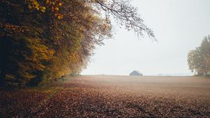 Preview wallpaper autumn, fog, field, fallen leaves, houses