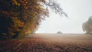 Preview wallpaper autumn, fog, field, fallen leaves, houses