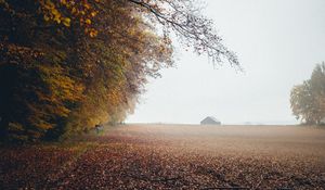 Preview wallpaper autumn, fog, field, fallen leaves, houses