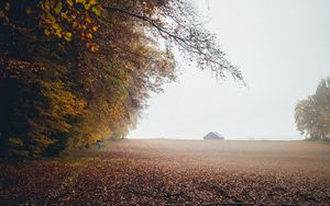 Preview wallpaper autumn, fog, field, fallen leaves, houses