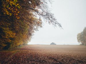 Preview wallpaper autumn, fog, field, fallen leaves, houses