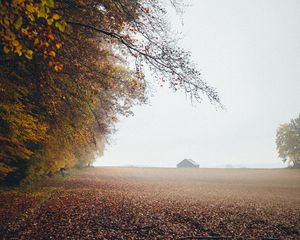 Preview wallpaper autumn, fog, field, fallen leaves, houses