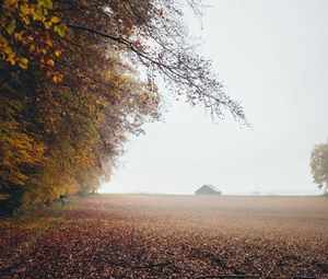 Preview wallpaper autumn, fog, field, fallen leaves, houses