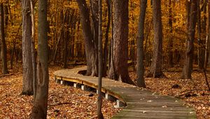 Preview wallpaper autumn, foliage, park, trees