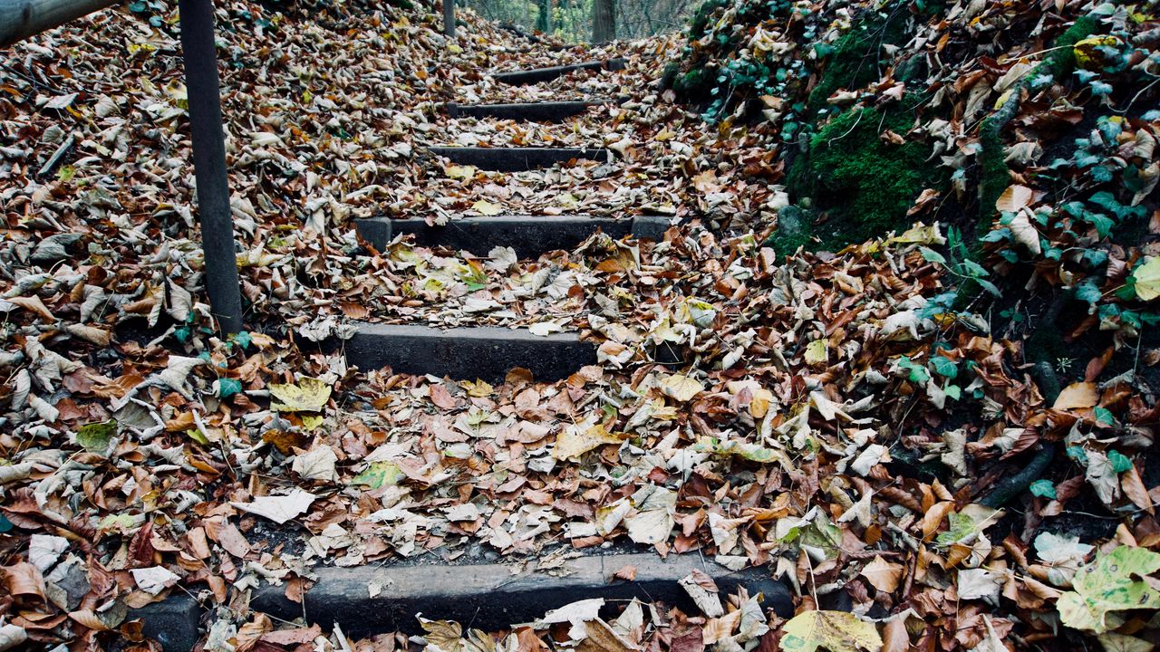 Wallpaper autumn, foliage, stairs