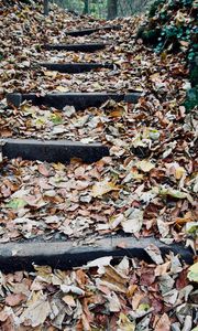 Preview wallpaper autumn, foliage, stairs