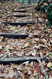 Preview wallpaper autumn, foliage, stairs