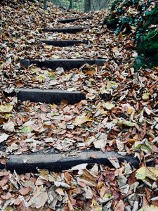 Preview wallpaper autumn, foliage, stairs