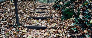 Preview wallpaper autumn, foliage, stairs