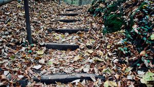 Preview wallpaper autumn, foliage, stairs