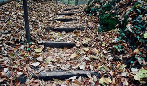 Preview wallpaper autumn, foliage, stairs