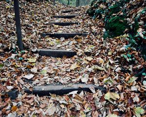 Preview wallpaper autumn, foliage, stairs