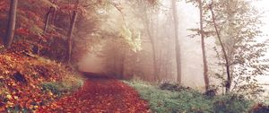 Preview wallpaper autumn, forest, fog, path