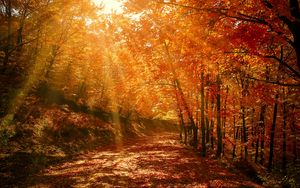 fall wallpaper widescreen