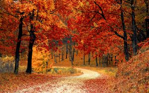 Beautiful Fall Desktop Wallpaper 74 images