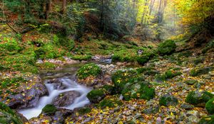 Preview wallpaper autumn, forest, river, rocks, landscape